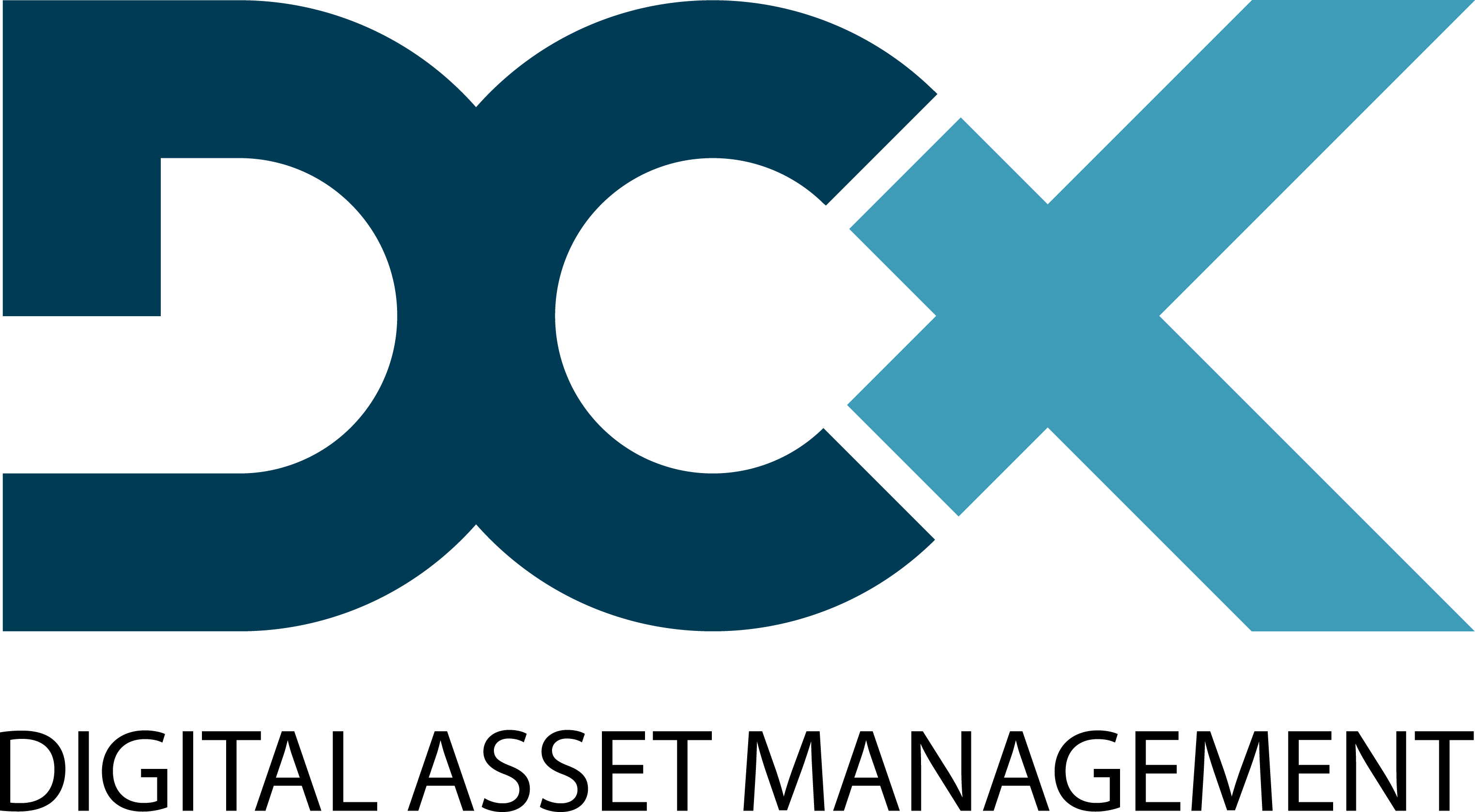 Stibo DX CUE DAM (DC-X)